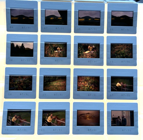 Profi dias passau 1991 - profi-dias,