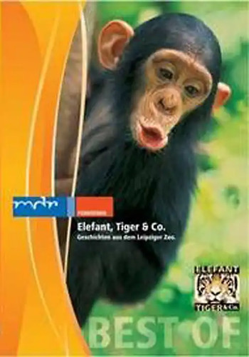 Elefant tiger teil 1 - &,