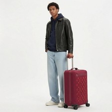 LOUIS VUITTON Koffer Horizon