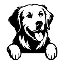 Golden Retriever Peeking Vinyl