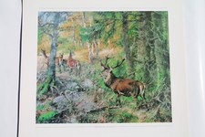 Rotwild Rudel Kunstdruck 40 x 30 cm Jagdmalerei Jagdbild von Wilhelm Buddenberg
