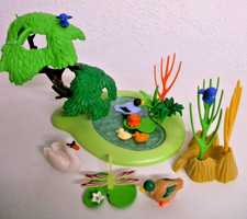 Schwan Enten Frosch Teich