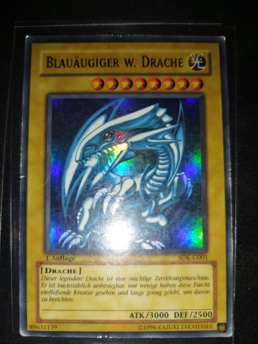Blauäugiger weißer - blauäugiger,