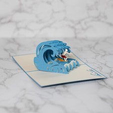 SURFER - WELLENREITER -