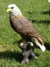 Adler Weißkopfadler Deko Figur wetterfest 40cm Gartendeko usa Fischadler NEU