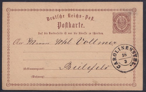 77983 carolinensyhl - 77983),