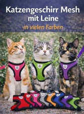 Katzengeschirr & Leine
