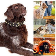 Hundehalsband Leder Hunde