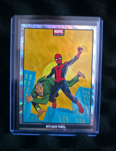Panini marvel anthology - panini,