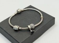 Wunderschöner 925 Silber ALE PANDORA Armband Mit 925 Silber Charms 