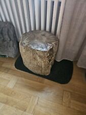 Versteinerter Holzstamm mit polierter Oberfläche aus Indonesien von Privat