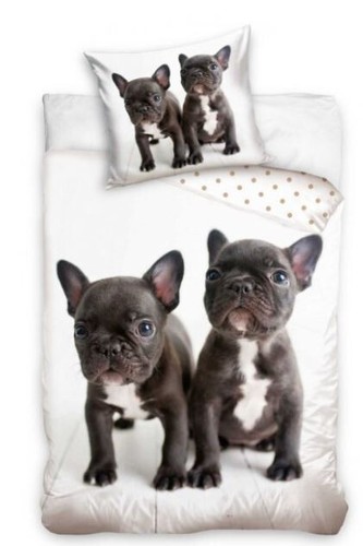 Frenchie französische - frenchie,