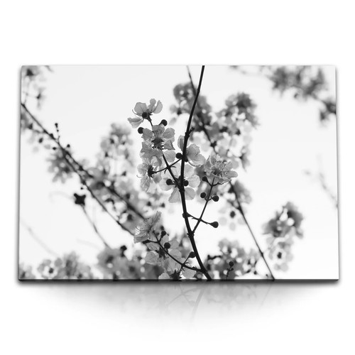 120x80cm wandbild auf - wandbild,