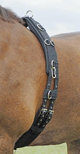 Longiergurt busse profi - busse, profi-soft