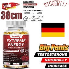 Roter koreanischer Panax