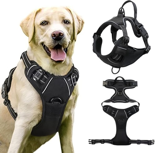 Hundegeschirr ohne zug - hundegeschirr,