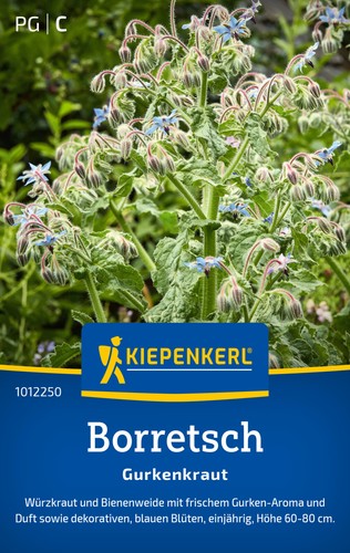 Borretsch gurkenkraut mhd - *,