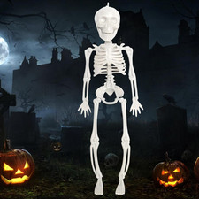 Halloween Skelett, Halloween