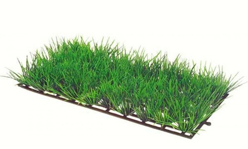 Hobby und oase biorb - hobby,