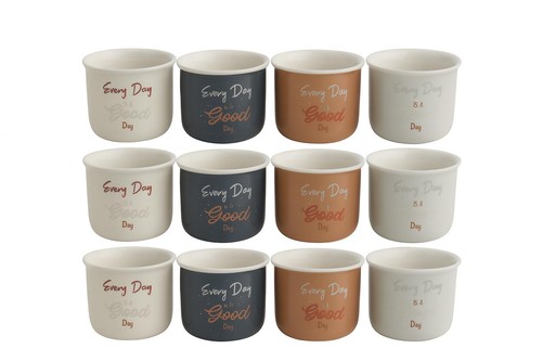 12er set espressotassen 90ml - 12er,