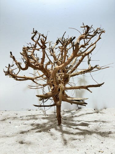 Aquariumwurzel etosha tree - aquariumwurzel,,