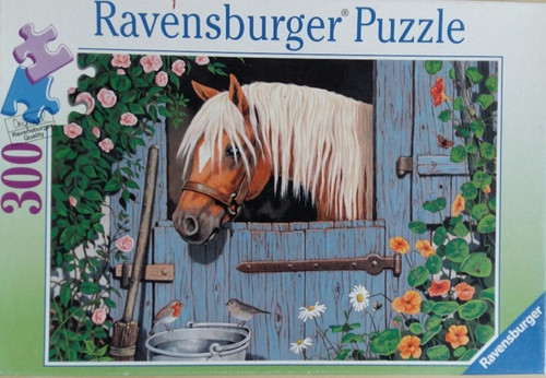 Ravensburger puzzle 300 - ravensburger, teile