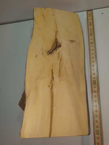 Halb stamm drechselholz - halb,
