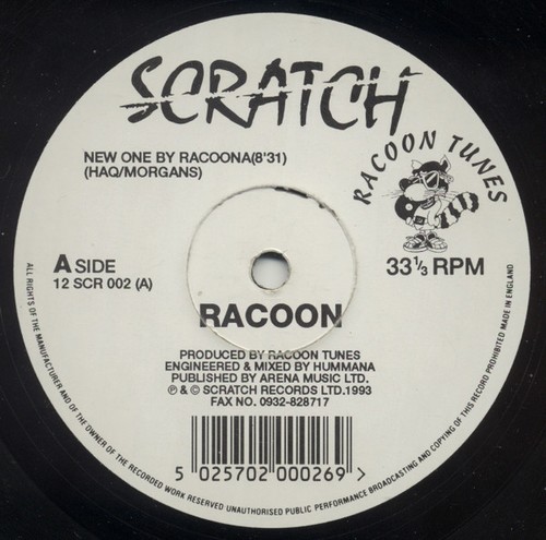 Racoon new one by racoona - racoon,