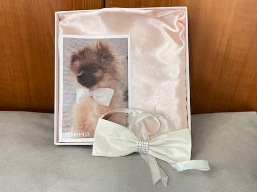 Poirier hunde schleife fliege - hunde,
