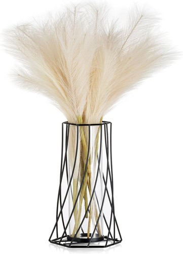 Schwarz vase für pampasgras - pampasgras,