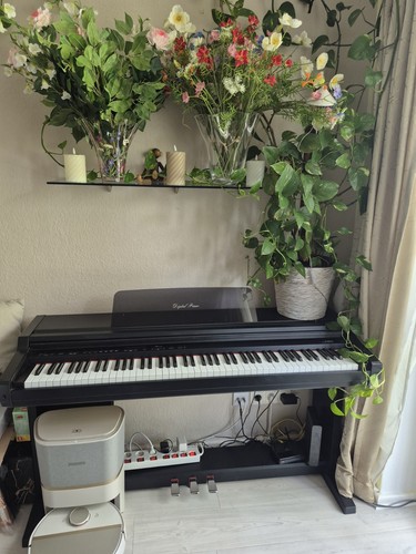 Kawai digitales - cn-33,