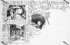 Fk  Görlitz i.Schl.- Jahr 1898 - Demianiplatz - Weinrestaurant "Zum Rebstock"