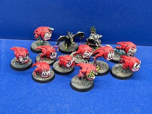 Squig herd 2 - 2, herders der