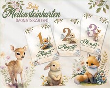 Baby Meilensteinkarten | Fuchs