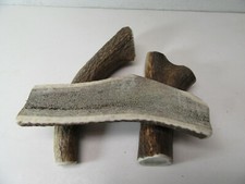 3x Geweihstück Hirschhorn Hirschgeweih Hirsch Abwurfstange