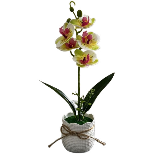 Künstliches phalaenopsis - künstliches,