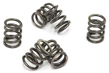Kupplungsfedern Satz