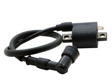 Zündspule komplett für Adly Herchee Aprilia ATU Generic Jonway Keeway KTM uvm. 