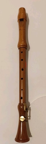 Blockflöte aus holz - aus,