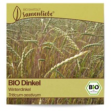BIO Dinkel Samen Winterdinkel
