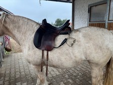 Sommer Evolution Juchtenleder 17 5 Zoll