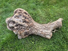 70 cm XL Treibholz Schwemmholz
