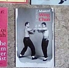 Kung fu Buch book Advanced