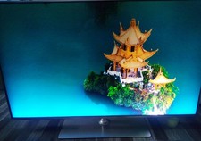 Panasonic TX-49FXX739 Sondermodell TXN/A1PRWE