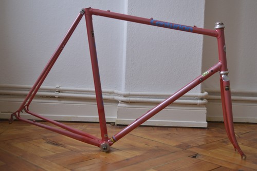 Centurion professional cinelli - professional,