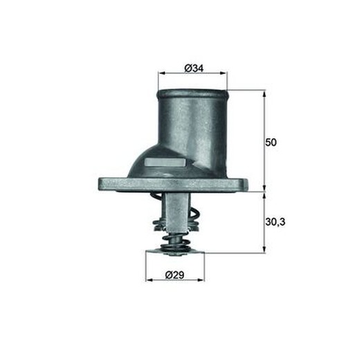 Mahle ti192 thermostat für - mahle,