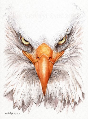 Original tuschebild inkdrawing - original,