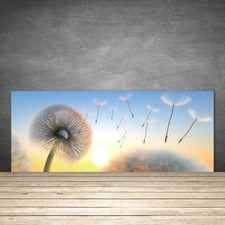 Küchenrückwand aus Glas ESG