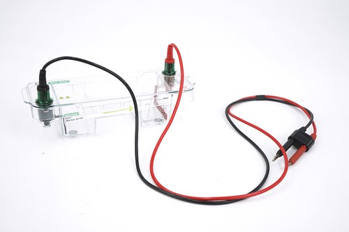 Bio rad mini sub cell - cell, gt