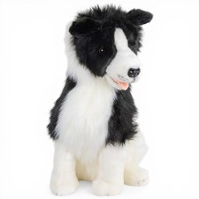 Carl dick border collie - carl,